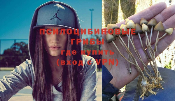 спайс Абаза