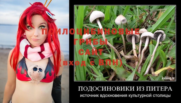спайс Абаза