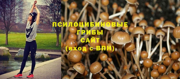 прущий лед Алексеевка