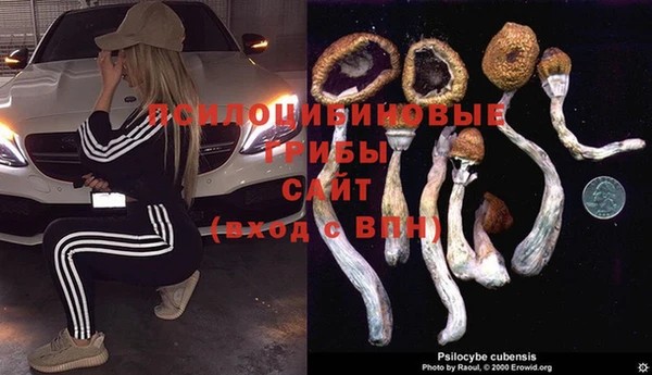 не бодяженный Алзамай