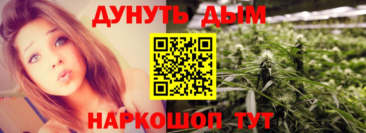 Бошки марихуана Bruce Banner  Канабис OG Kush  Каннабис план  Сарапул  Вход с VPN 